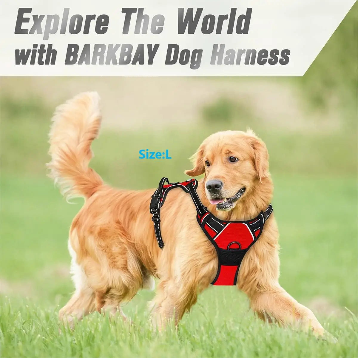 Reflective Dog Harness