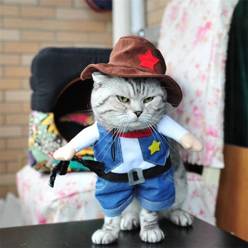 Cowboy Cat Costume