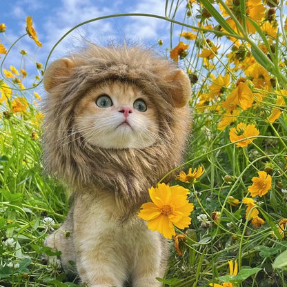 Lion Cat Costume