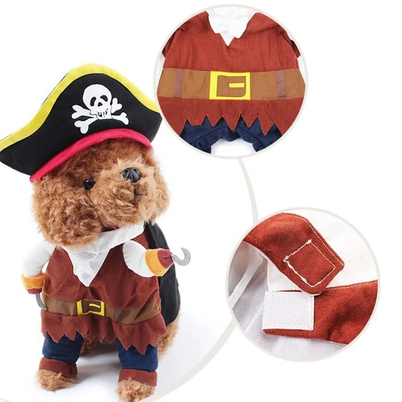 Pirate Cat Costume