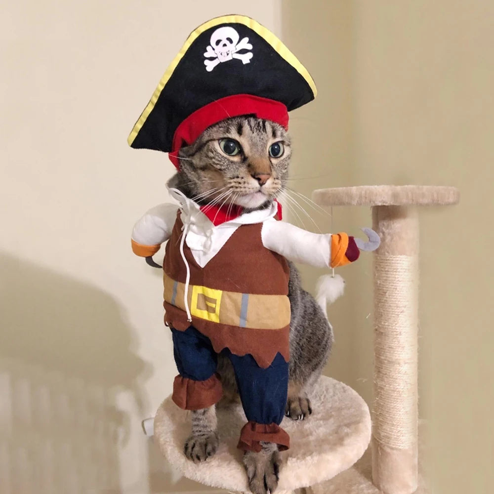 Pirate Cat Costume