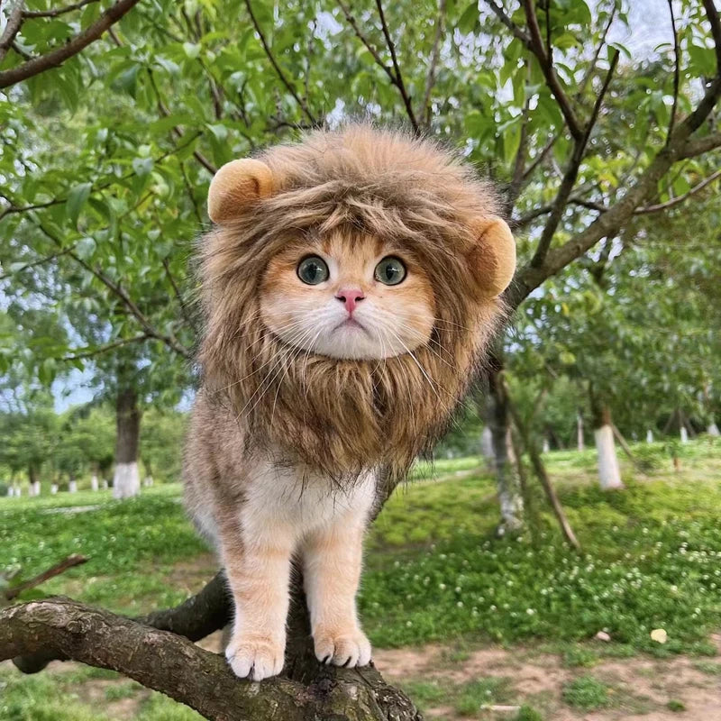 Lion Cat Costume