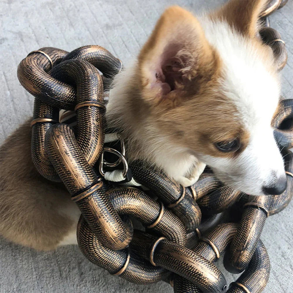 Chain Dog Leashe