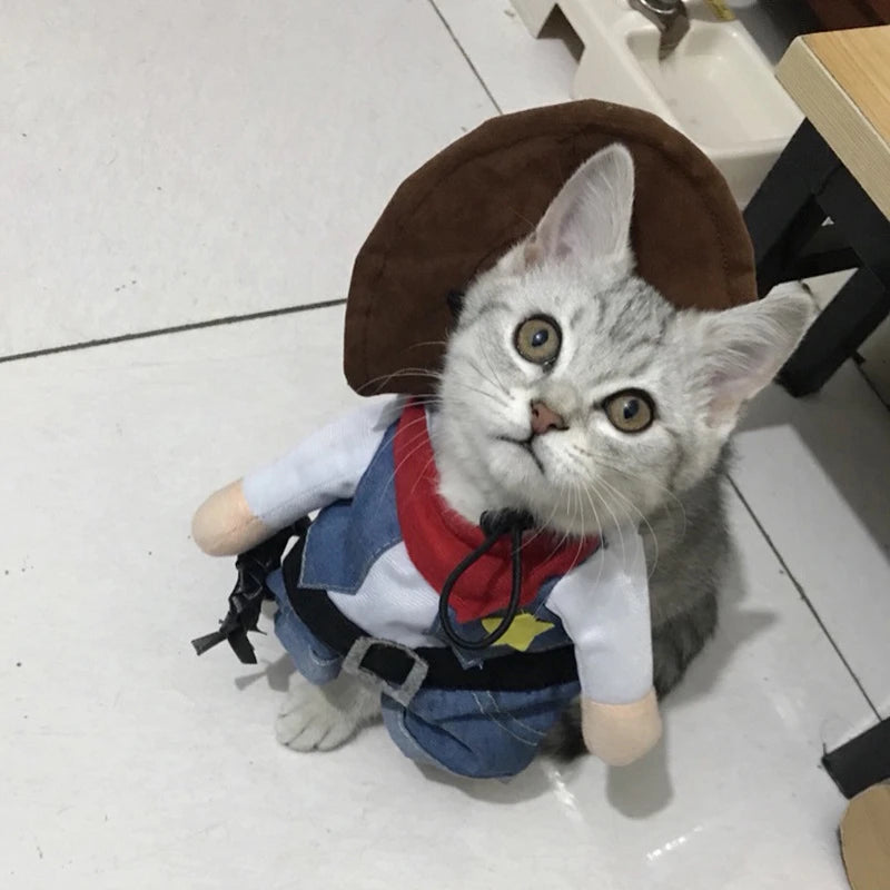 Cowboy Cat Costume