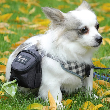 Pet Treat/bag Dispenser