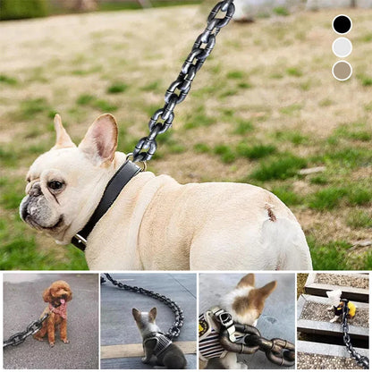 Chain Dog Leashe