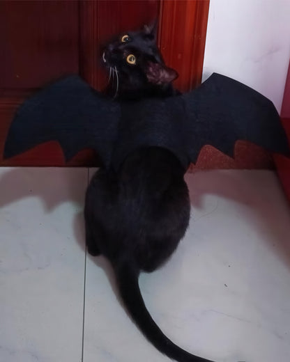 Cat Bat Wings