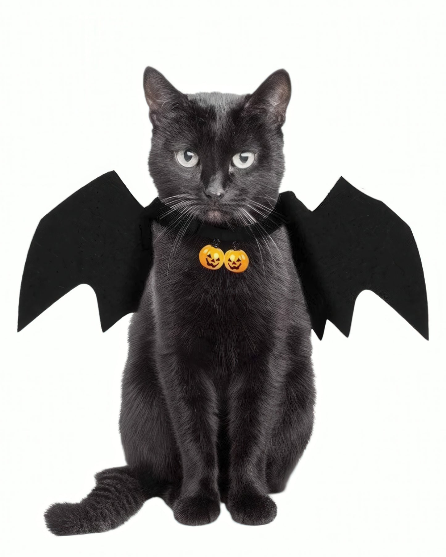 Cat Bat Wings