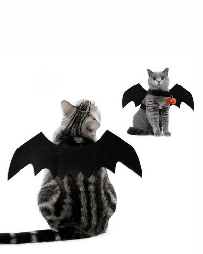 Cat Bat Wings