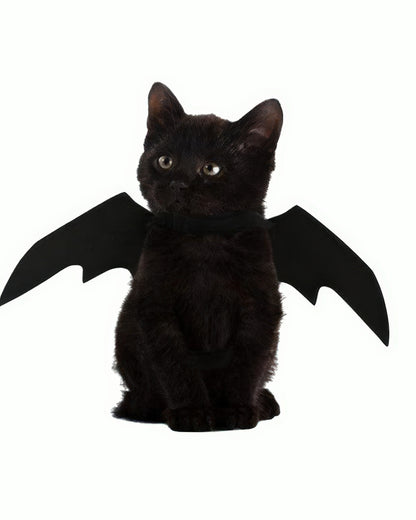 Cat Bat Wings