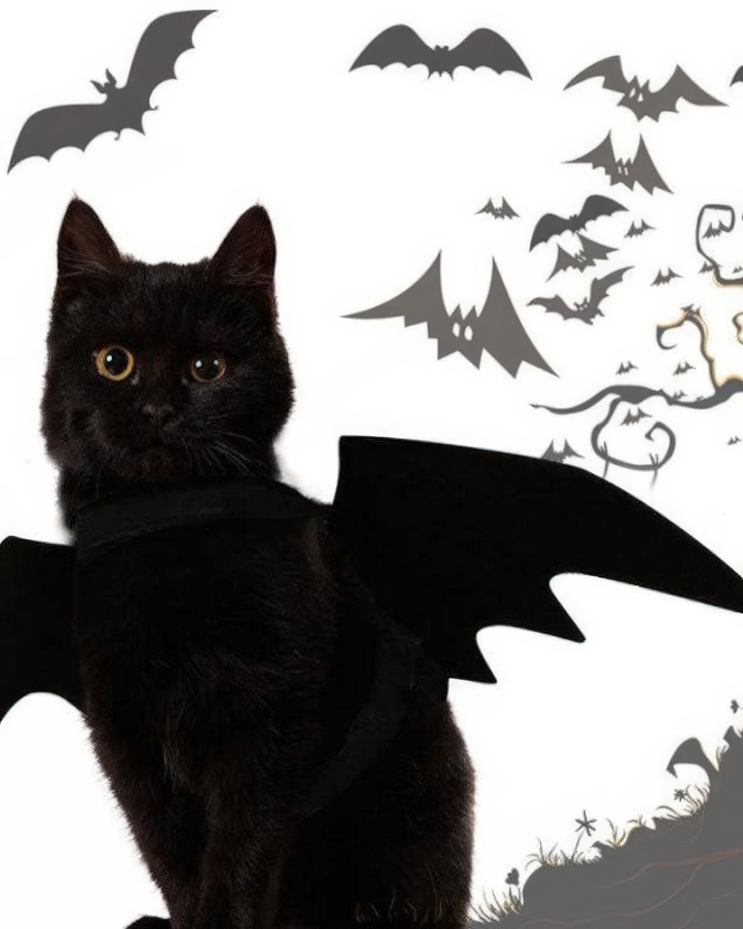 Cat Bat Wings