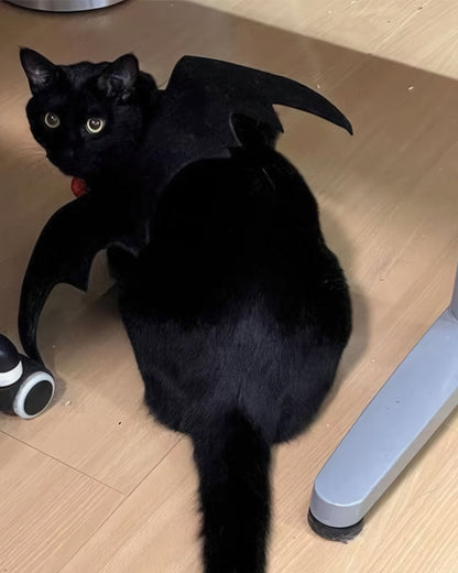 Cat Bat Wings