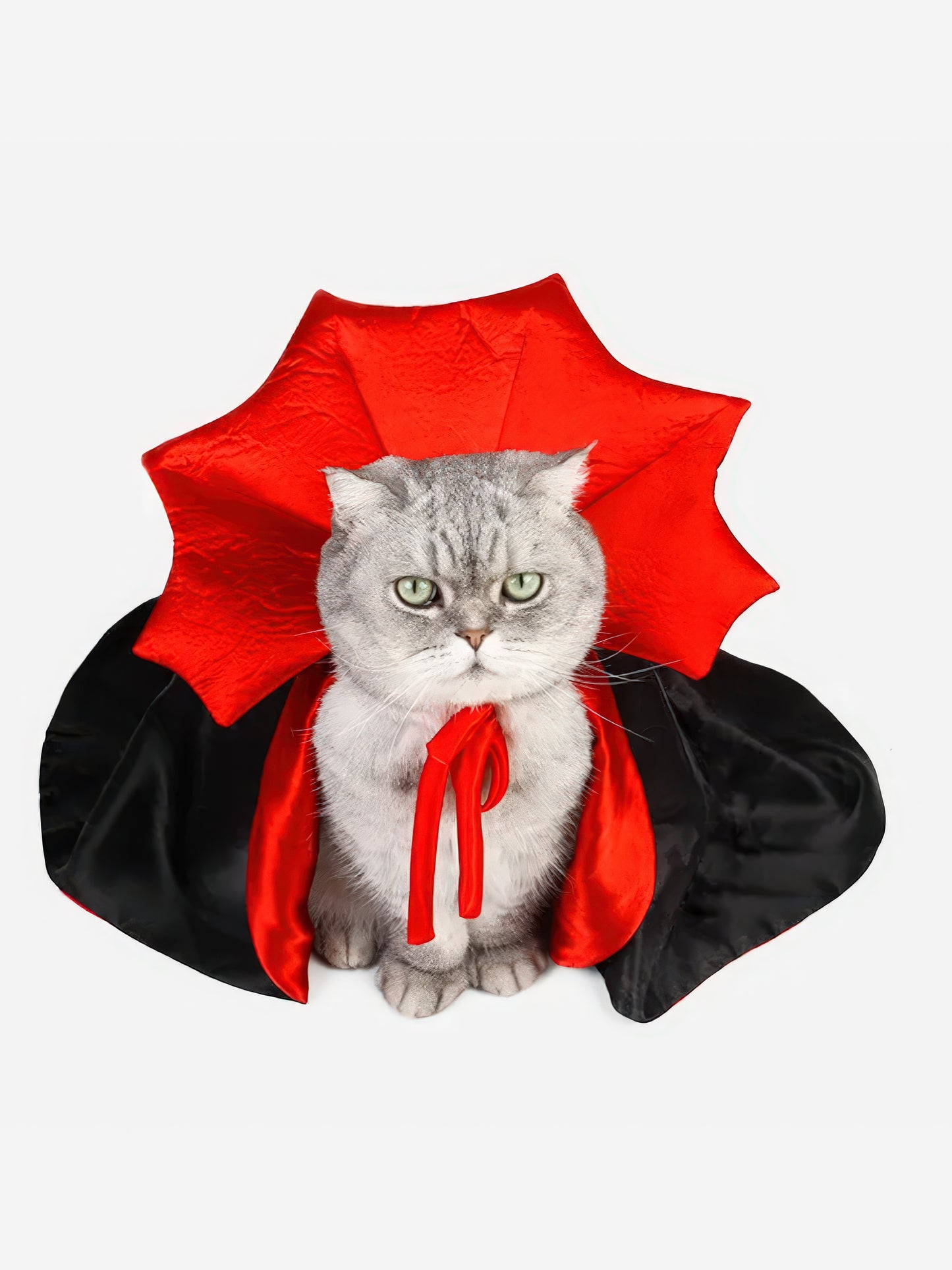 Count Catula Cloak