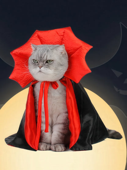 Count Catula Cloak