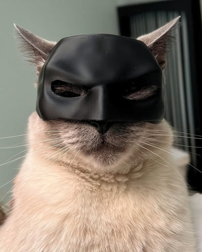 Batcat Mask